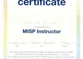 Diplôme MISP instructor